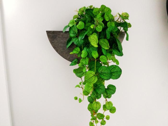 nlc rooms and suites