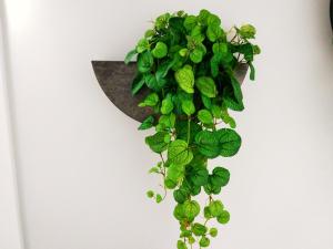 nlc rooms and suites