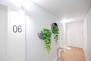 nlc rooms and suites