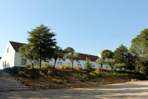 santarem