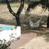 quinta dos anjos