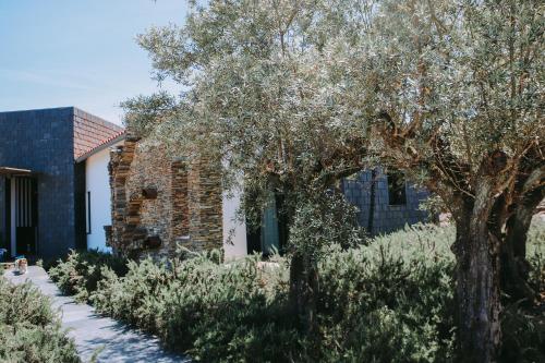 casas da fontanheira