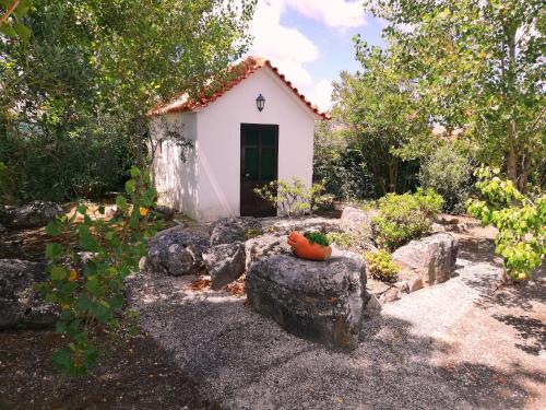 quinta sao martinho