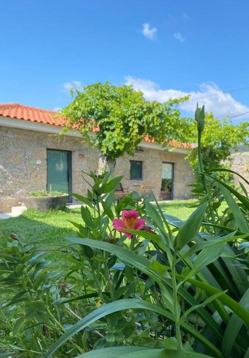 hotel quinta da tulha