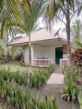 Jupiter's Garden Resort,In The Historical District,0 star