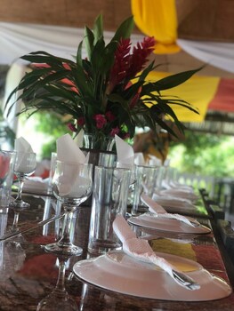 Jupiter's Garden Resort,In The Historical District,0 star