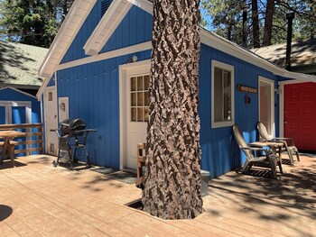 brown bear inn