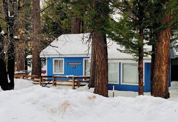 brown bear inn