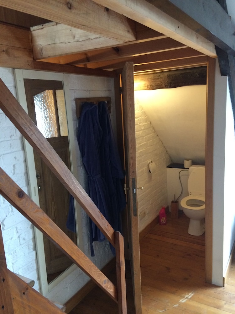 la maison des chiens