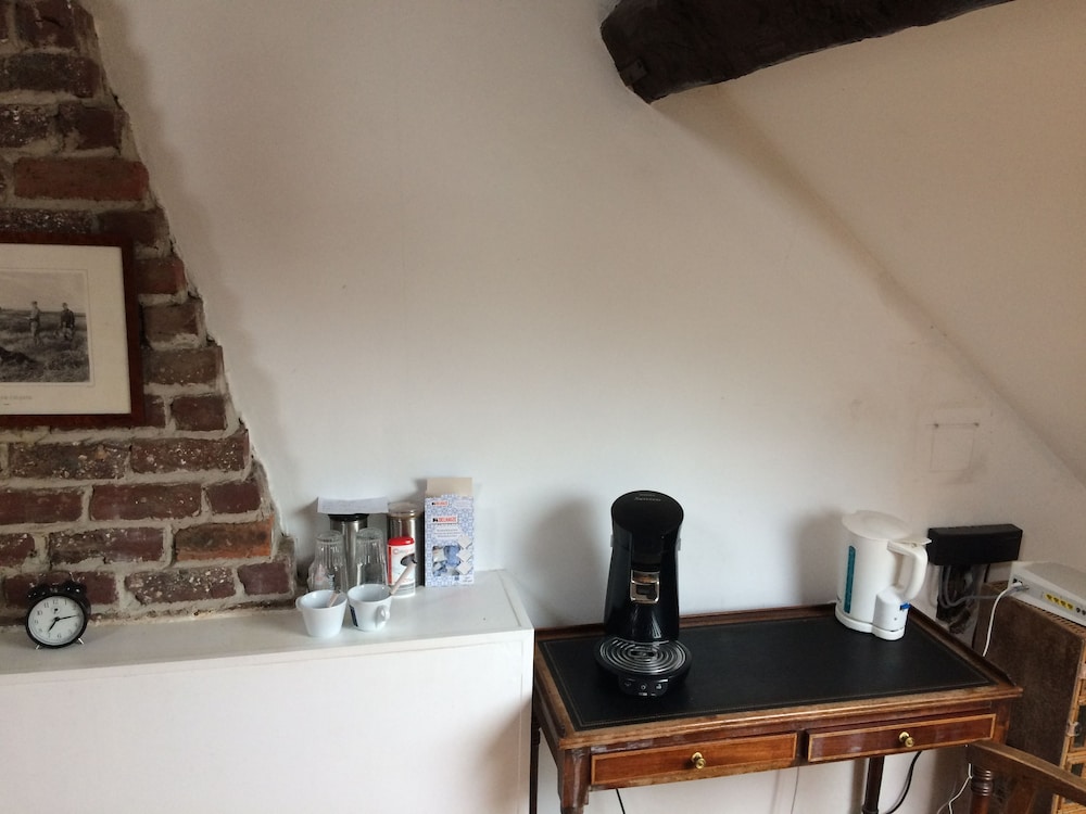 la maison des chiens