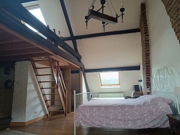 la maison des chiens