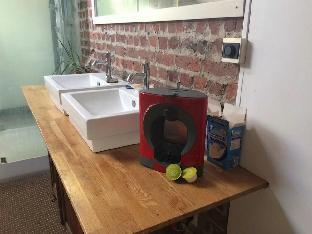 la maison des chiens