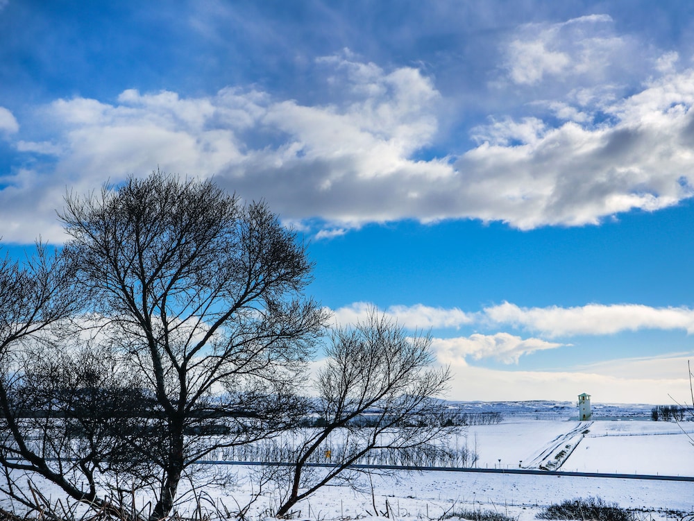 selfoss