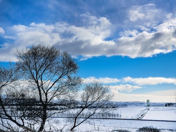 selfoss