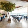 figtree hotel