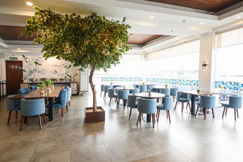 figtree hotel