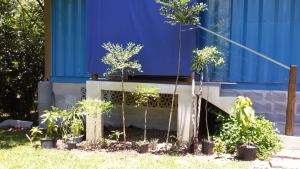 pousada container eco manguinhos