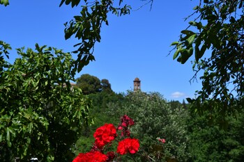 torrita di siena