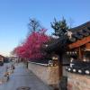 jeonju