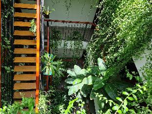 nicobar con dao hotel