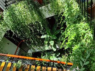 nicobar con dao hotel