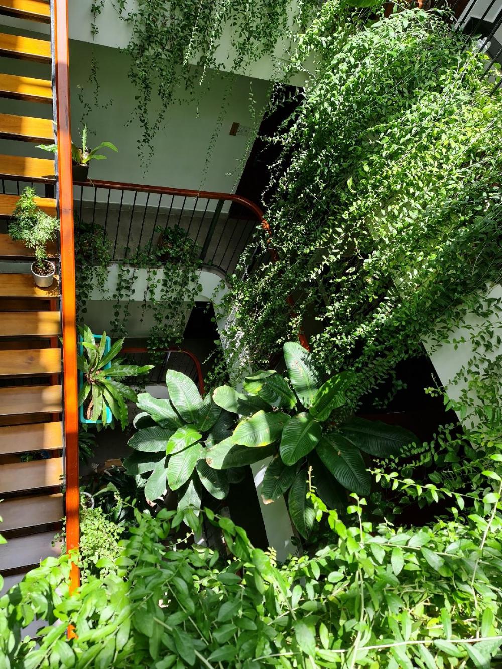 nicobar con dao hotel