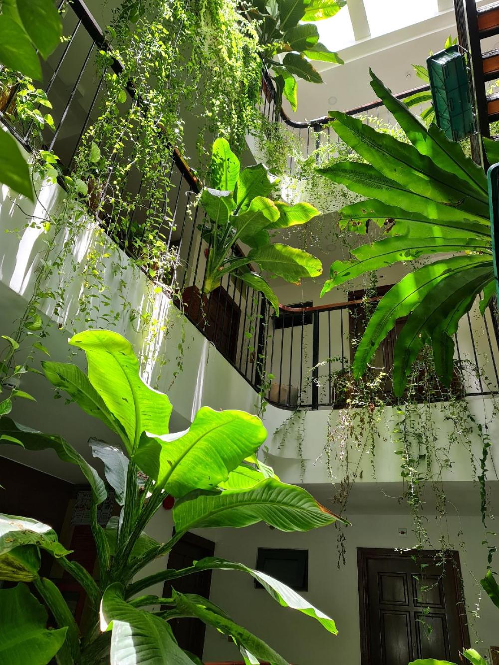 nicobar con dao hotel