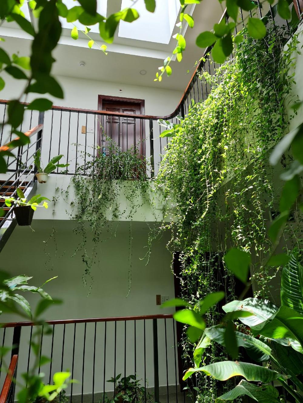 nicobar con dao hotel