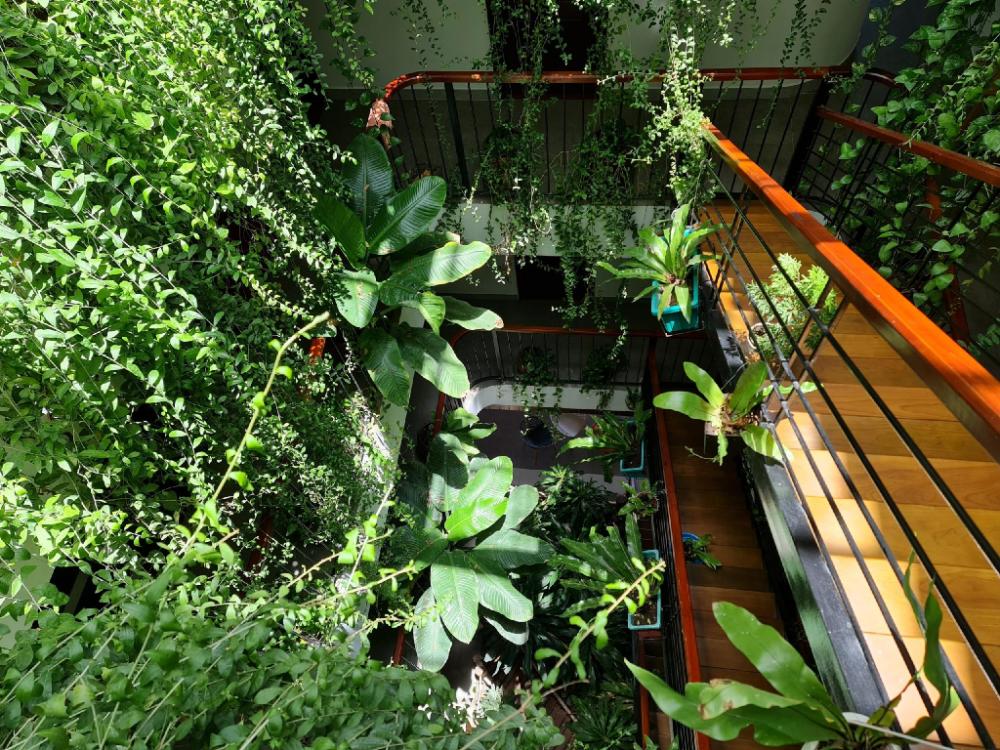 nicobar con dao hotel