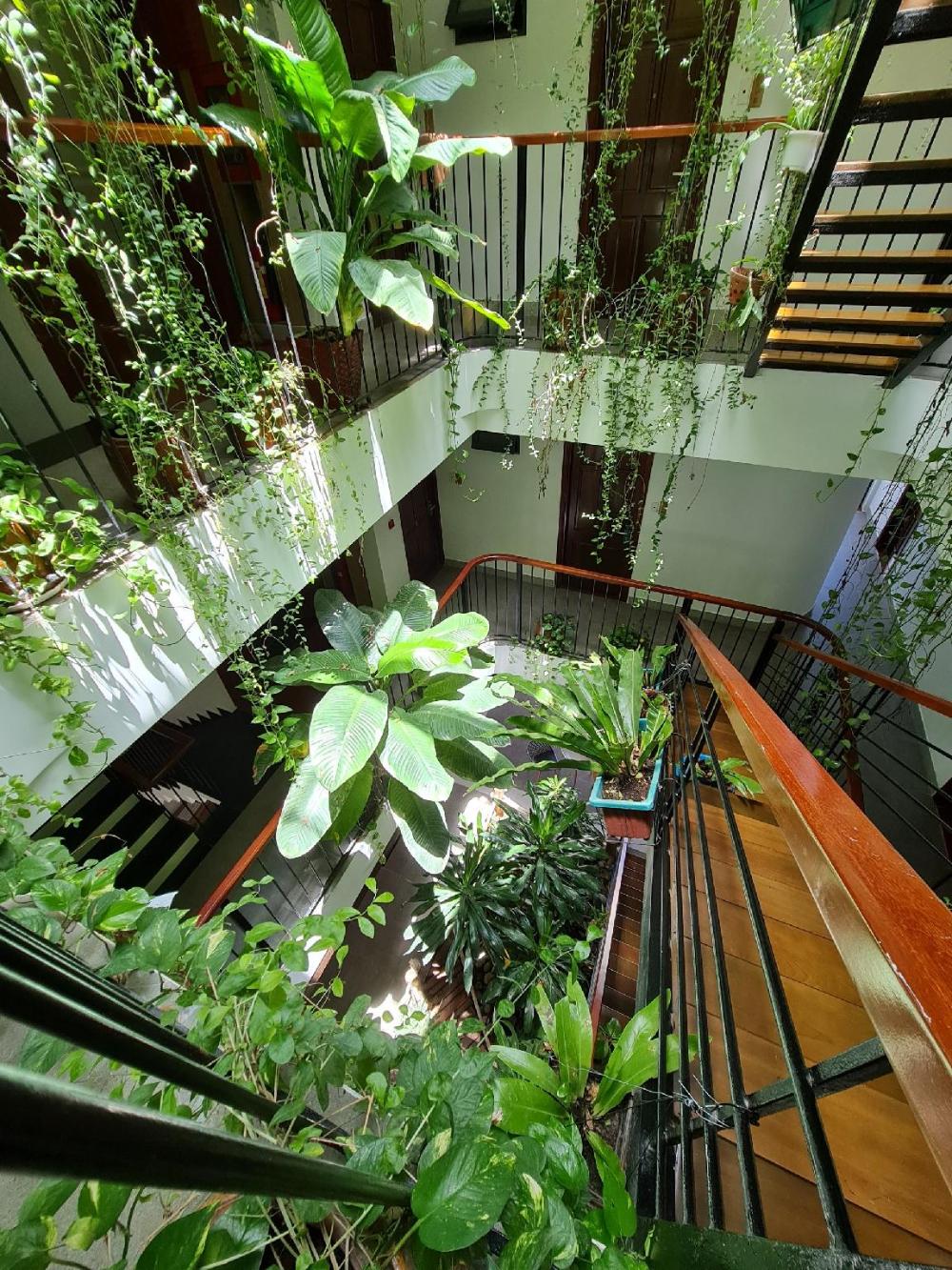 nicobar con dao hotel