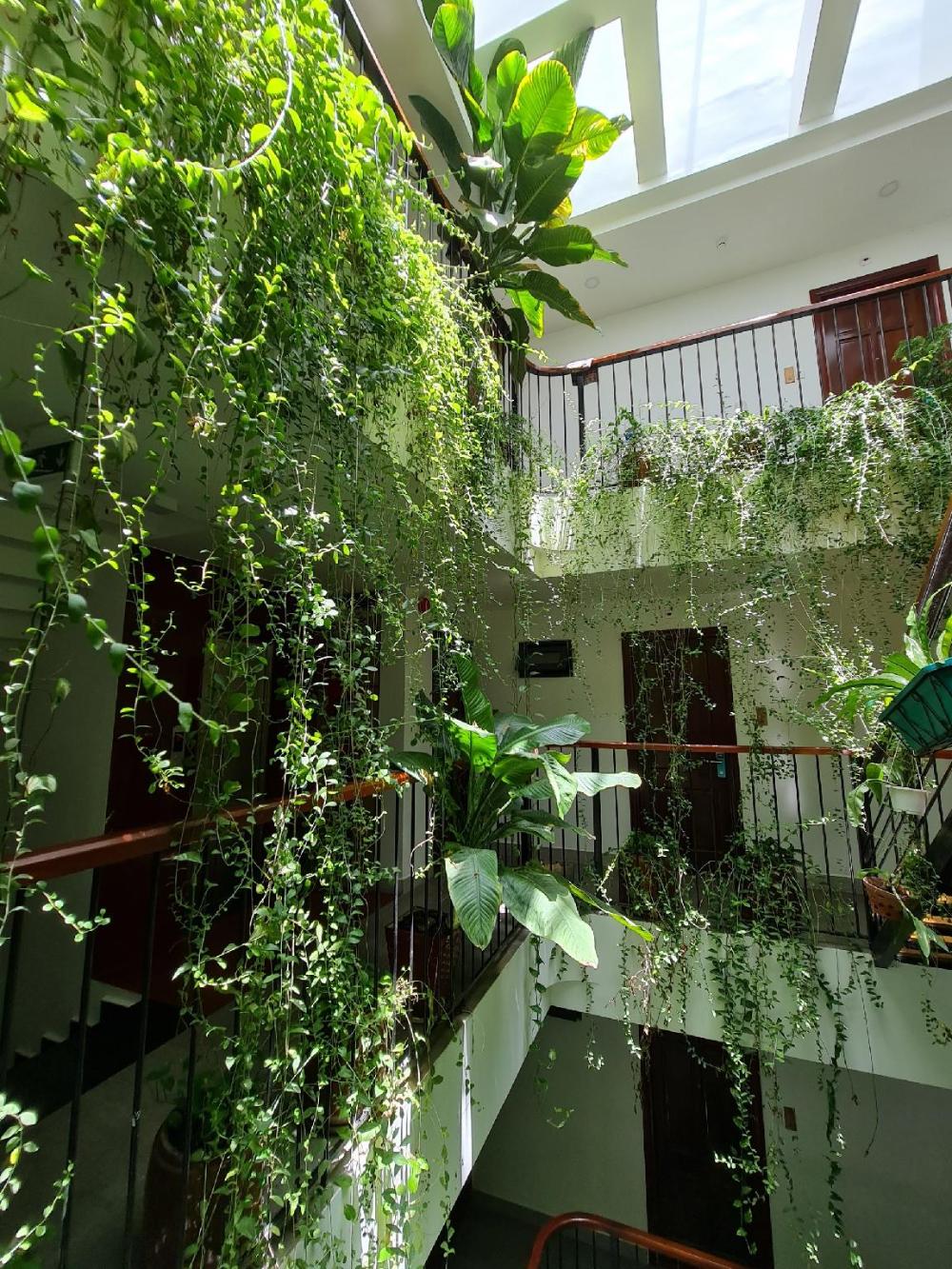 nicobar con dao hotel