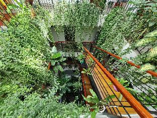 nicobar con dao hotel