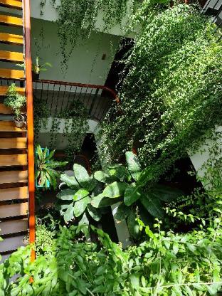 nicobar con dao hotel