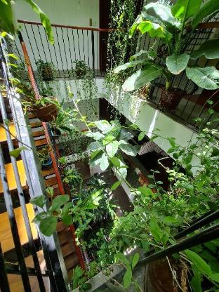 nicobar con dao hotel