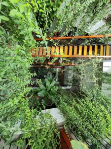 nicobar con dao hotel