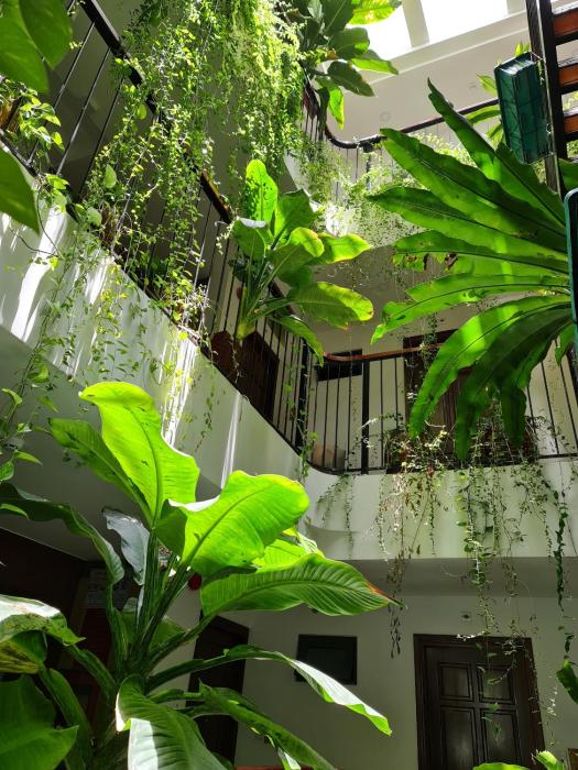 nicobar con dao hotel