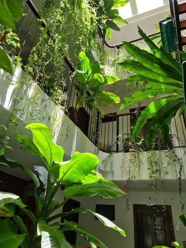 nicobar con dao hotel