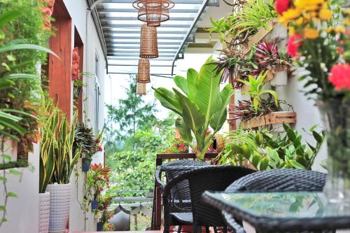 an bang white sand sea homestay