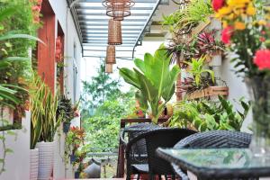 an bang white sand sea homestay