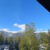 willa alaska