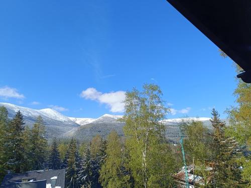 willa alaska