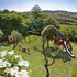 borgo tre rose