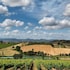 borgo tre rose