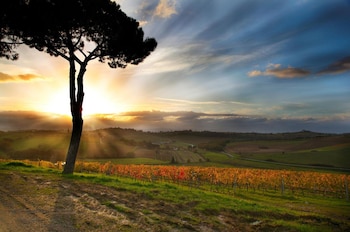 borgo tre rose
