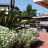 hotel michelangelo and spa