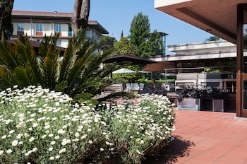hotel michelangelo and spa