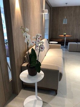 viva versatil suites