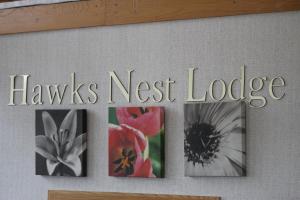 hawks nest lodge
