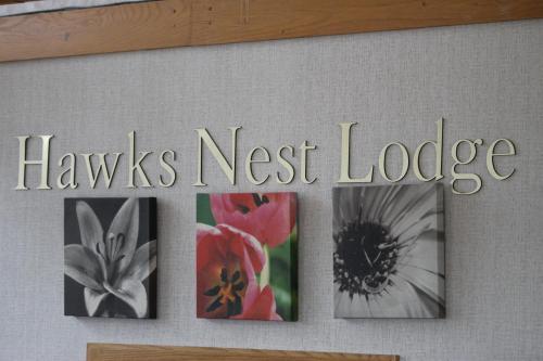 hawks nest lodge