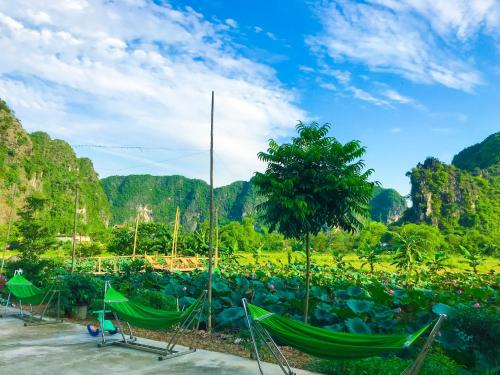 green mountain homestay